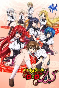 Старшая школа DxD New